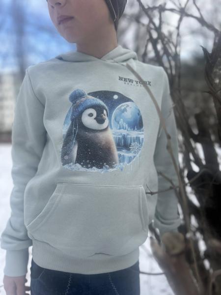 Bügelbild Arctic Moon Pinguin