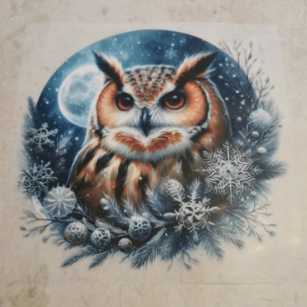 Bügelbild Arctic Moon Eule