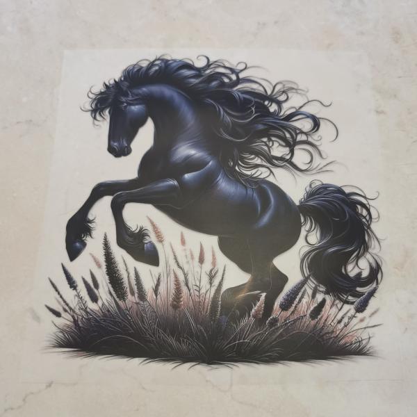 Bügelbild steigendes Pferd schwarz