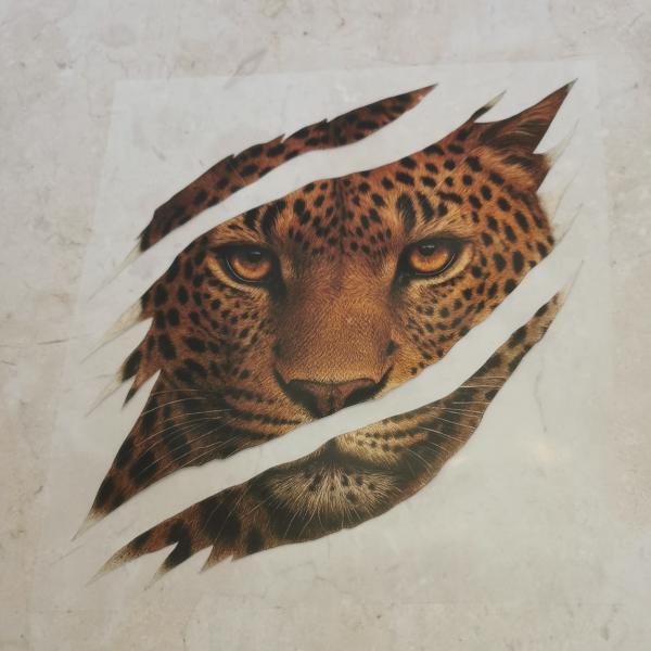 Bügelbild Scratched Gepard