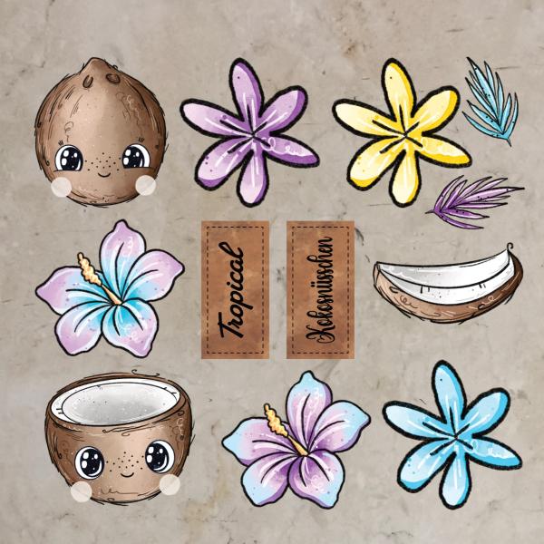 Bügelbild-Bundle Kokosnuss