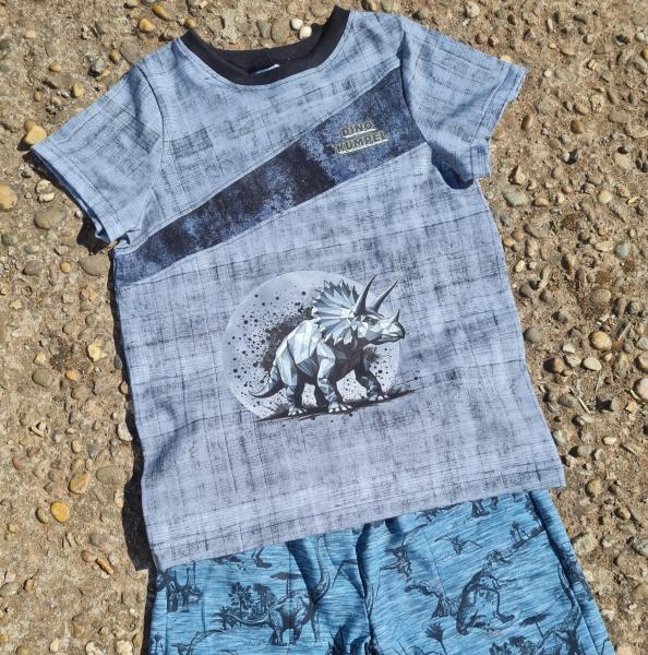 Bügelbild Geo-Trizeratops