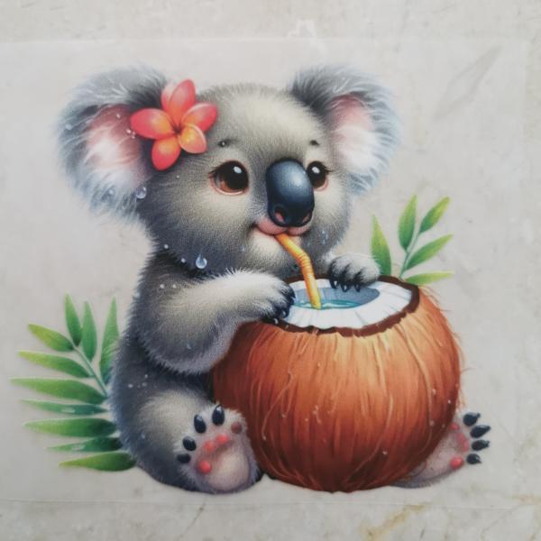 Bügelbild süße Sommerkoala Kokosnuss