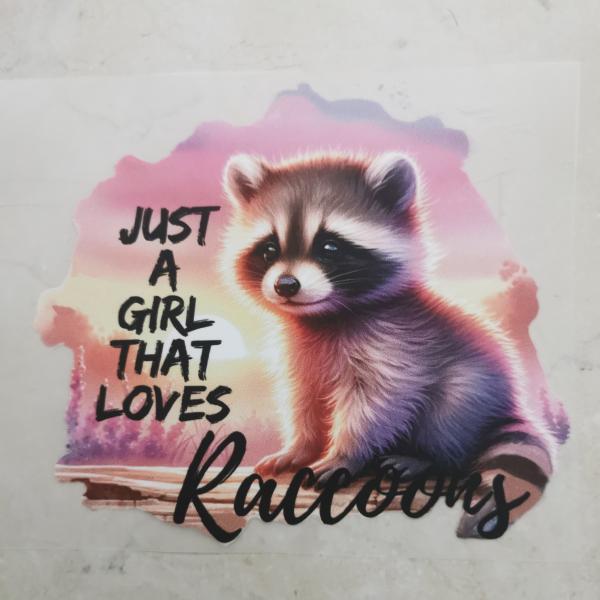Bügelbild Just a Girl Raccoons rosa