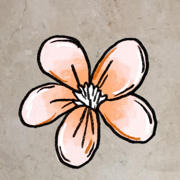 Bügelbild Blume zu Igel