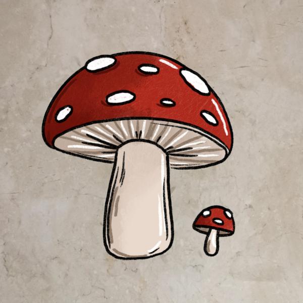 Bügelbild Pilze zu Igel
