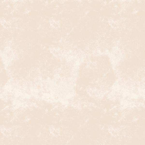 Vorbestellung Grunge Creme