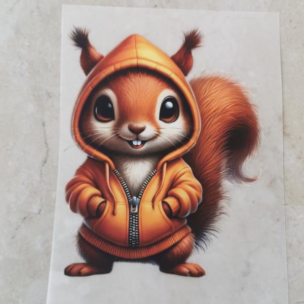 Bügelbild Eichhörnchen Hoodie-Jacke