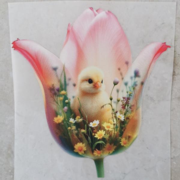 Bügelbild Tulpe Küken