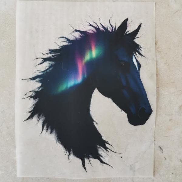Bügelbild Pferdekopf Polarlichter