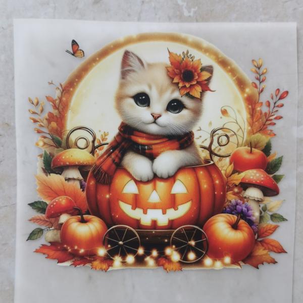 Bügelbild Herbstkatze Kürbis hell