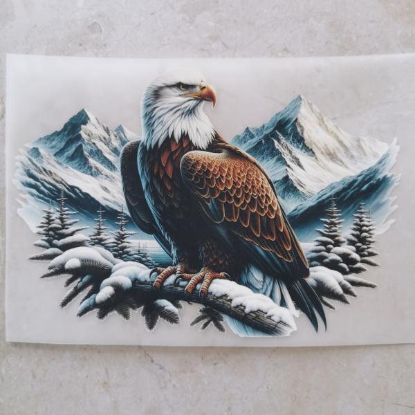 Bügelbild Weißkopfadler auf Ast